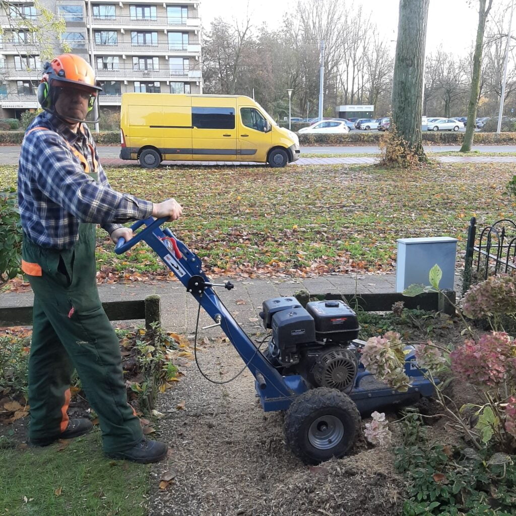 Boomstronk verwijderen in Arnhem