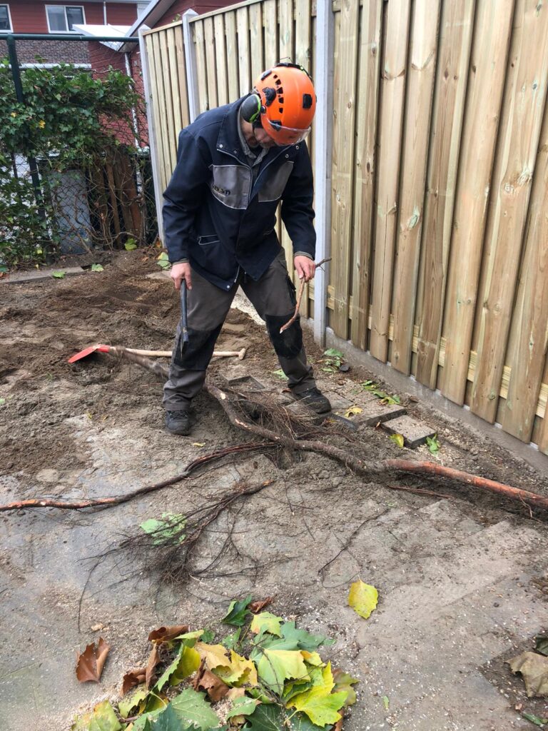 Wortels met een bijl verwijderen