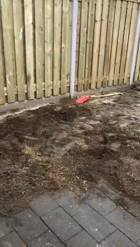 Het resultaat na het stobbenfrezen