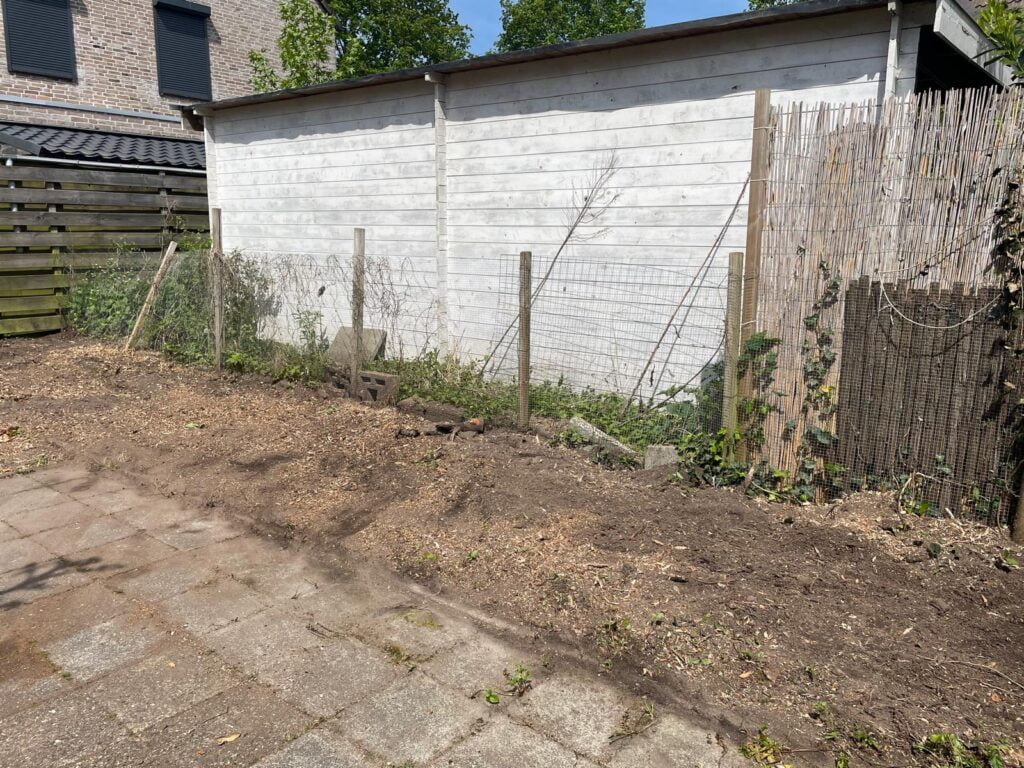 Nog een beeld van de situatie na het wegfrezen van 12 stronken van een omgezaagde laurierhaag