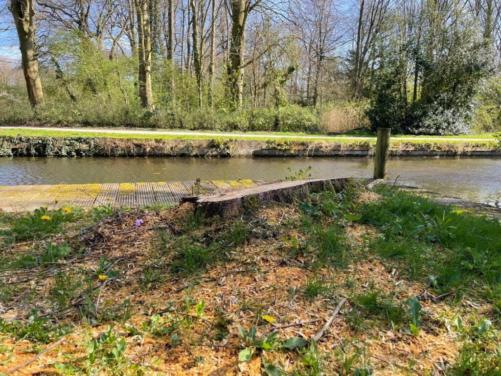 De boomstronk vanuit een laag standpunt. Het mooie park in Wassenaar op de achtergrond