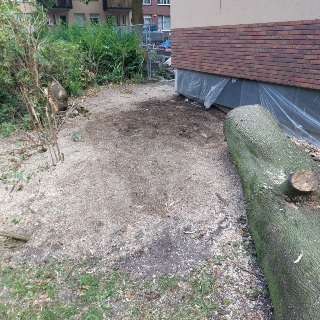 De boomstronk is weg tot ongeveer 20cm onder het maaiveld. Klaar voor het aanleggen van bestrating of groen.