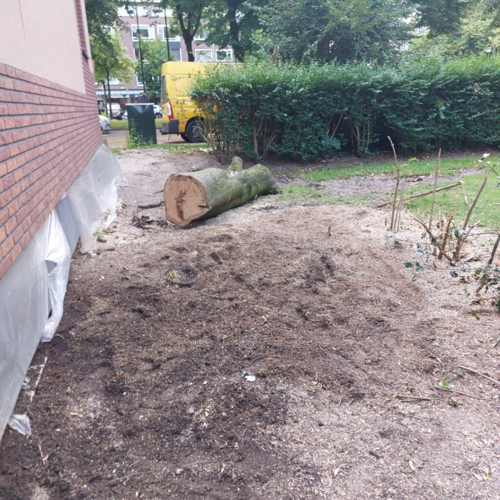 Het eindresultaat. De boomstronk is weg.